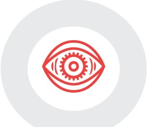 SISTEMI DI VISIONE